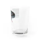 mahiruのpikkaring' Water Glass :right