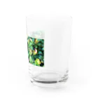 megu0328の乗鞍岳の高山植物 Water Glass :right
