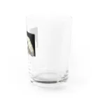 Leee_sanのムツオビアルマジロ Water Glass :right