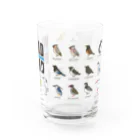 すたじお ワグテイルの野鳥連合（大きめ野鳥の支部） Water Glass :right