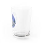 Lichtmuhleのゴマフアザラシ Water Glass :right