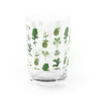 いいだ あやかのherb Water Glass :right