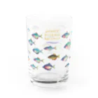 いけす　第二池の日本のタナゴ Water Glass :right