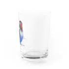 まめるりはことりのボタンインコ　おすましコバルトブルー【まめるりはことり】 Water Glass :right