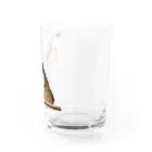 kiichacoの-猫- 左手を暖めるはっさく Water Glass :right