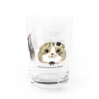 wokasinaiwoのバースディパリスと仲間たち Water Glass :right