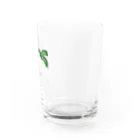 shioのturnip Water Glass :right
