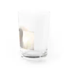 ❣️コールダックのKちゃん❣️のくちばし桜Kちゃん Water Glass :right