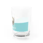 sasabayashi8のうとうとフェレット Water Glass :right