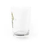 fuvincroninのDＲ．Keromori Water Glass :right