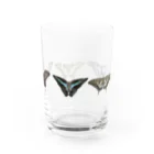 kitaooji shop SUZURI店のアゲハ蝶5種 Water Glass :right