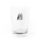 Canako Inoueのラッコ Water Glass :right