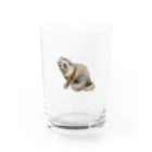 Canako Inoueのホンドタヌキ Water Glass :right