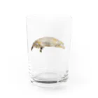 Canako Inoueののびている猫 Water Glass :right