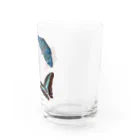 KUREOのくじゃくちょうたち Water Glass :right