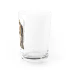 良々の美犬モカちゃん(犬、Mダックス) Water Glass :right