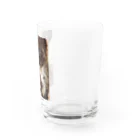 SUNNYHOUSE02のゴマくん Water Glass :right