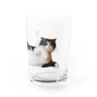 金ちゃんの部屋のキッズ時代の金ちゃん Water Glass :right