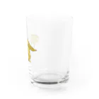 kennyのつづサウロス Water Glass :right