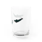 クジラの雑貨屋さん。のゴントウクジラトリオ・グラス Water Glass :right