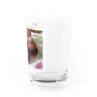 FumiProgrammerのsweets Water Glass :right