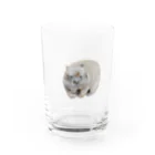 Canako Inoueのウォンバット Water Glass :right