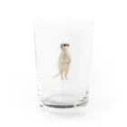 Canako Inoueのミーアキャット Water Glass :right