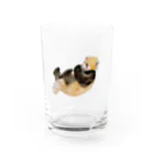 Canako Inoueのレッサーパンダ Water Glass :right