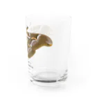 さちこの生物雑貨のシンジュサン Water Glass :right