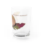 Mika ＠hammytouchの50_ハタネズミ_goods_01  Water Glass :right