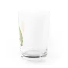 fulicaのもぐもぐバジェットガエル Water Glass :right