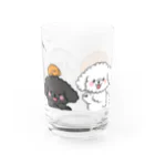 くろさわゆいのもふもふトイプードル Water Glass :right