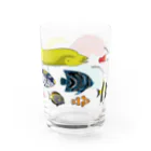 kasugaDNの海水！熱帯魚グラス/color Water Glass :right