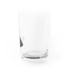 DNS PETのゼニガメのきん Water Glass :right