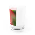 まいしょっぷマイユの赤いベゴニアちゃん Water Glass :right