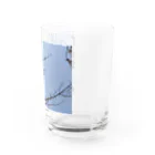 pomwoの飛行機好きなあなたへ Water Glass :right