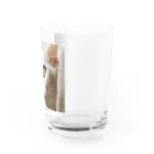 ほのぼのライフの白猫マリー Water Glass :right