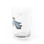 ろみの"@"長いヒレの長い生活(メダカ) Water Glass :right