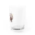 aNone sOnoneのスキニーギニアピッグ（毛のないモルモット） Water Glass :right