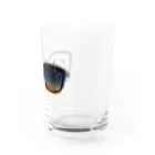 Apple Bears Collectionのメガネの景色【パンダ】 Water Glass :right