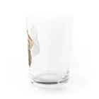 だっくのねこぶくろ Water Glass :right