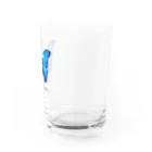 madのモルフォ蝶 Water Glass :right