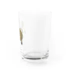 Fondhuのくわいキウイ Water Glass :right