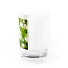 Parfume-weaverのポトス Water Glass :right