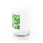 yuaomaの幸せのクローバー Water Glass :right