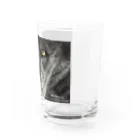 アラスカ野生動物画家きむらけいのBLACK WOLF Water Glass :right