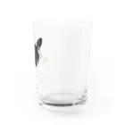 もみのきの私、カワハギ。生っぽい。 Water Glass :right