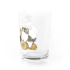 mofusandのモルモット試乗会 Water Glass :right