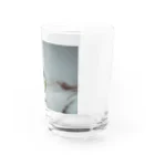 manimaniumの命の標本 Water Glass :right