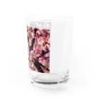 SHOPマニャガハの2021年の桜(№2) Water Glass :right